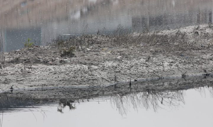 Cận cảnh dòng sông bị làng nghề giấy 'bức tử', tôm cá không thể sống sót 